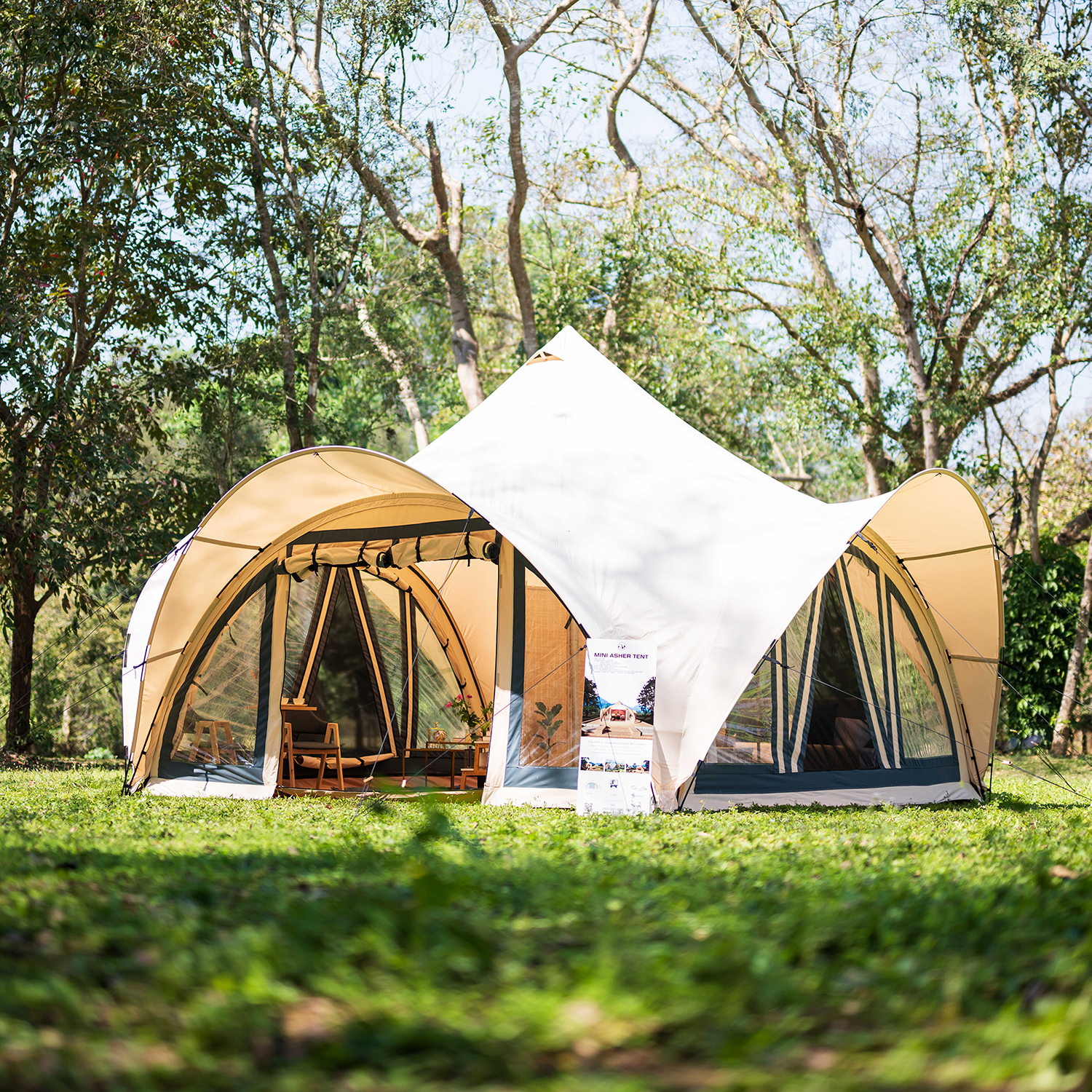Mini Asher Tent: A New Chapter in Thai Camping 